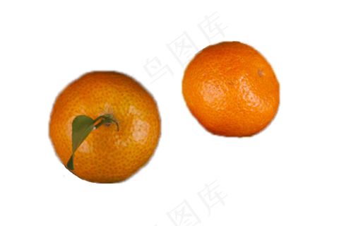 两个新鲜美味的橘子