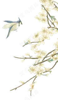 花鸟梅花树枝,免抠元素