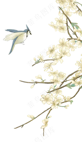 花鸟梅花树枝,免抠元素