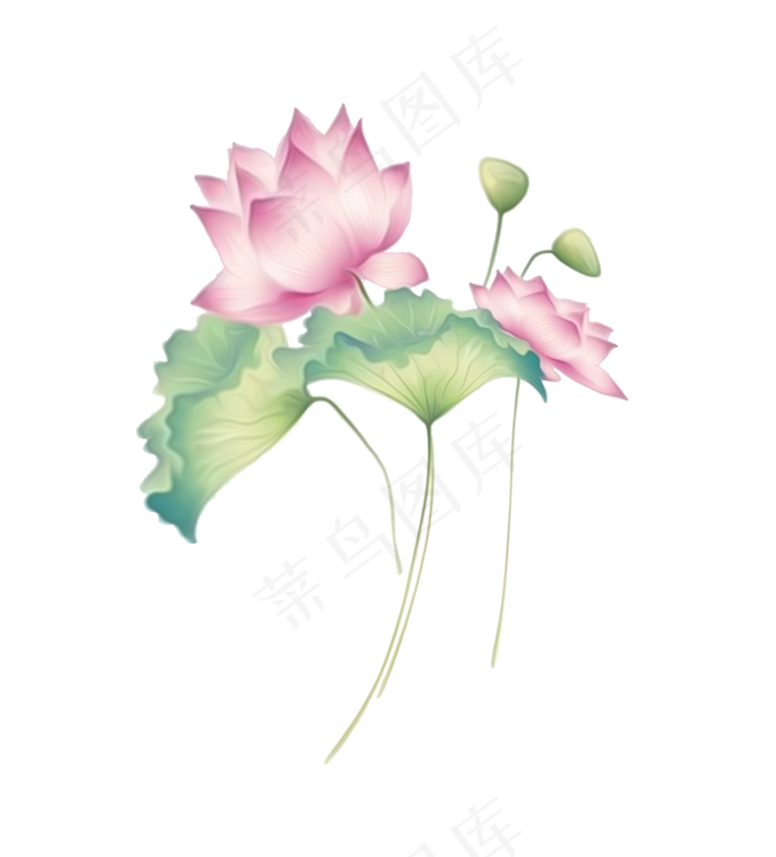 荷花荷叶绿色手绘(2718X3000(DPI:300))psd模版下载