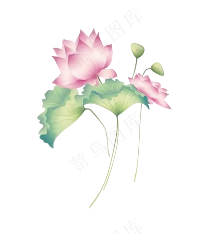 荷花荷叶绿色手绘(2718X3000(DPI:300))psd模版下载