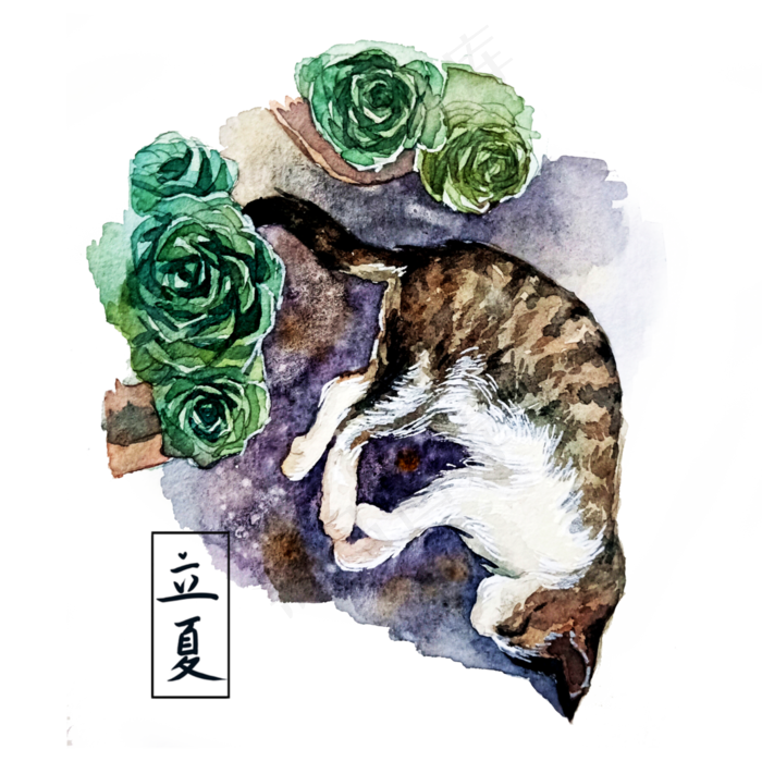 立夏水彩猫装饰图