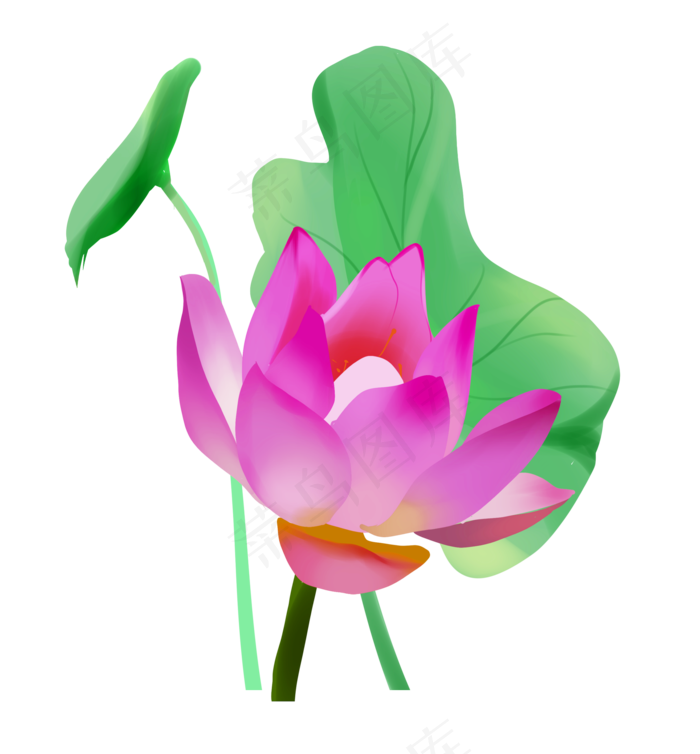漂亮的紫色荷花插图(2168X2336(DPI:300))psd模版下载