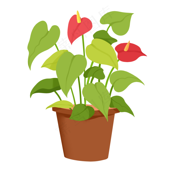热带植物红掌(2000X2000(DPI:300))psd模版下载