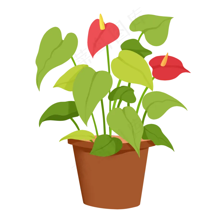 热带植物红掌(2000X2000(DPI:300))psd模版下载