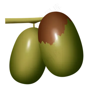 写实精致大枣psd透明底