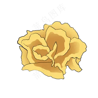 金色康乃馨母亲节手绘