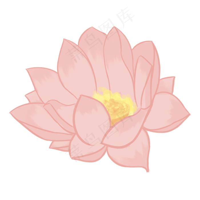 一朵粉色荷花插画