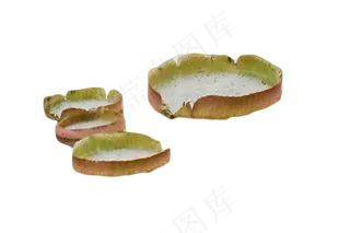 莲藕霸王莲种子种植