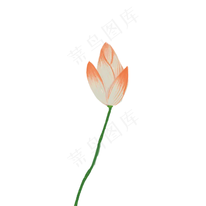夏日荷塘荷花花苞主题(2000X2000(DPI:300))psd模版下载