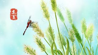 二十四节气之立夏