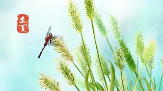 二十四节气之立夏