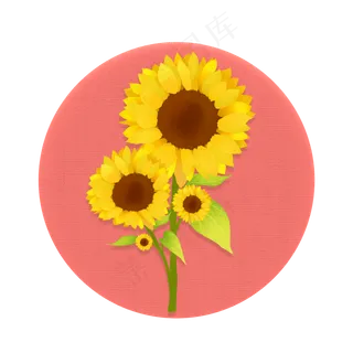 设计元素手绘花之盛夏向日葵