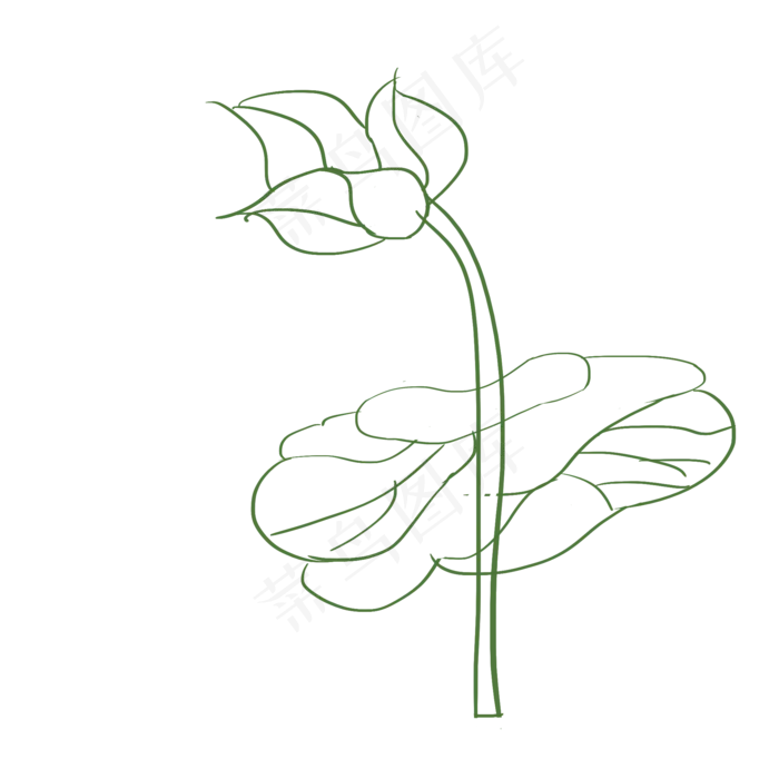绿色线条荷花(2000*2000px 72 dpi )