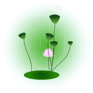 夏日荷花清新精美