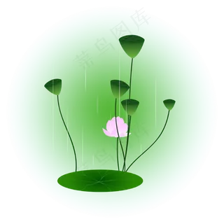 夏日荷花清新精美