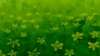 夏季草地清新花海草坪小花朵繁花横