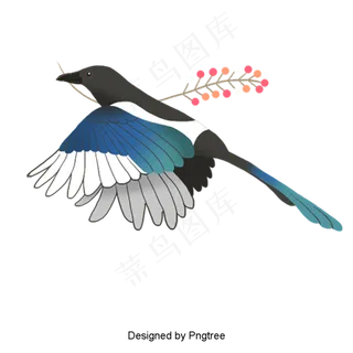 手绘写实喜鹊,免抠元素