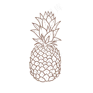 手绘菠萝