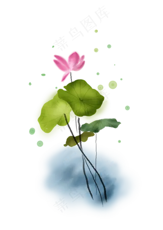 夏至手绘淡彩莲花