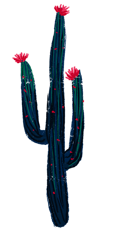 手绘涂鸦粉花仙人掌热带植物免扣(394X800(DPI:72))psd模版下载