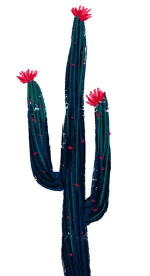 手绘涂鸦粉花仙人掌热带植物免扣