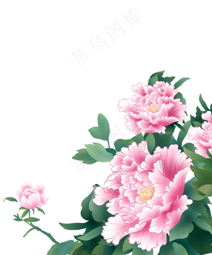 植物牡丹花手绘,免抠元素(1000X1203(DPI:300))psd模版下载