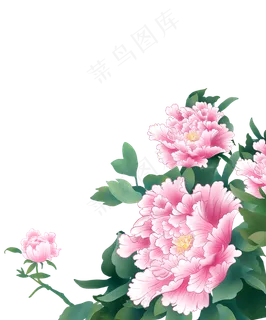 植物牡丹花手绘,免抠元素 植物牡丹花手绘,免抠元素