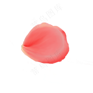 玫瑰花瓣植物装饰漂浮图案