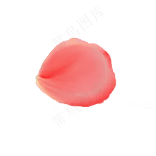 玫瑰花瓣植物装饰漂浮图案