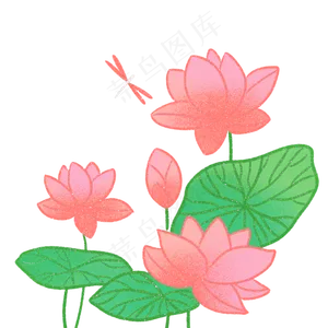 夏日小清新荷花和蜻蜓