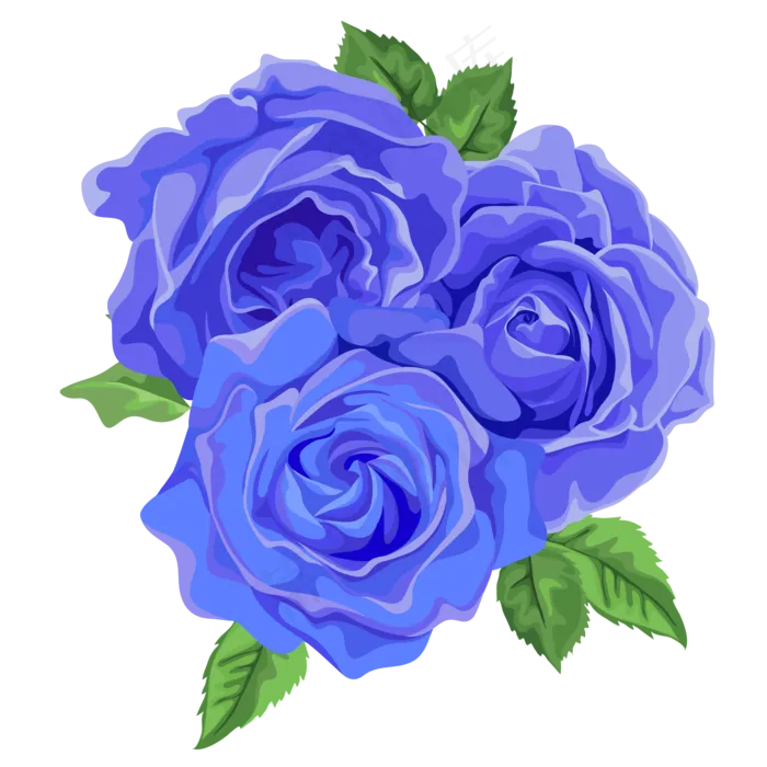 矢量装饰情人节蓝色玫瑰花元素(2000X2000(DPI:300))ai矢量模版下载