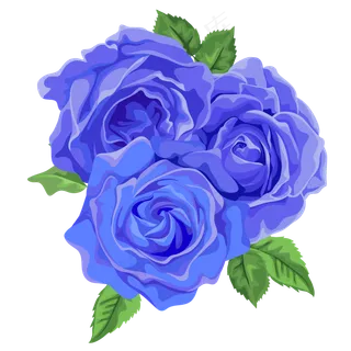 矢量装饰情人节蓝色玫瑰花元素