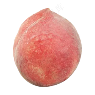 红色毛桃 红色毛桃