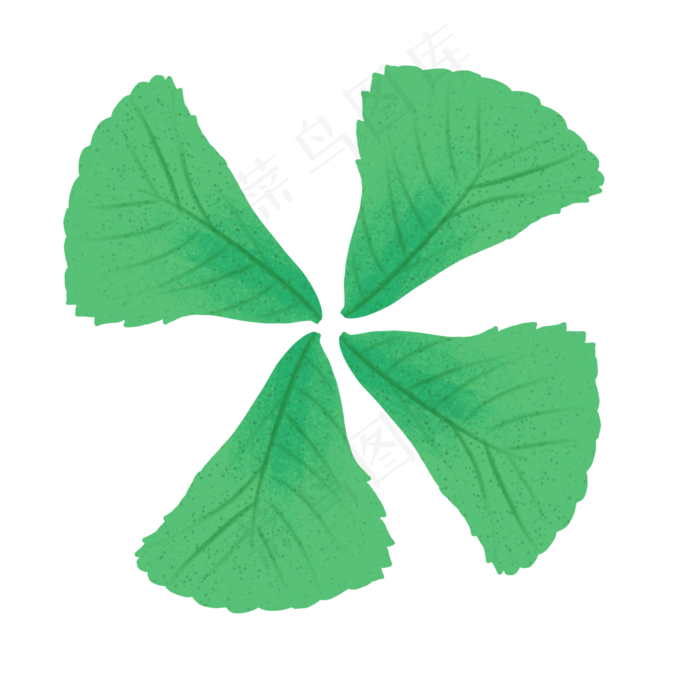 春季绿色四片树叶