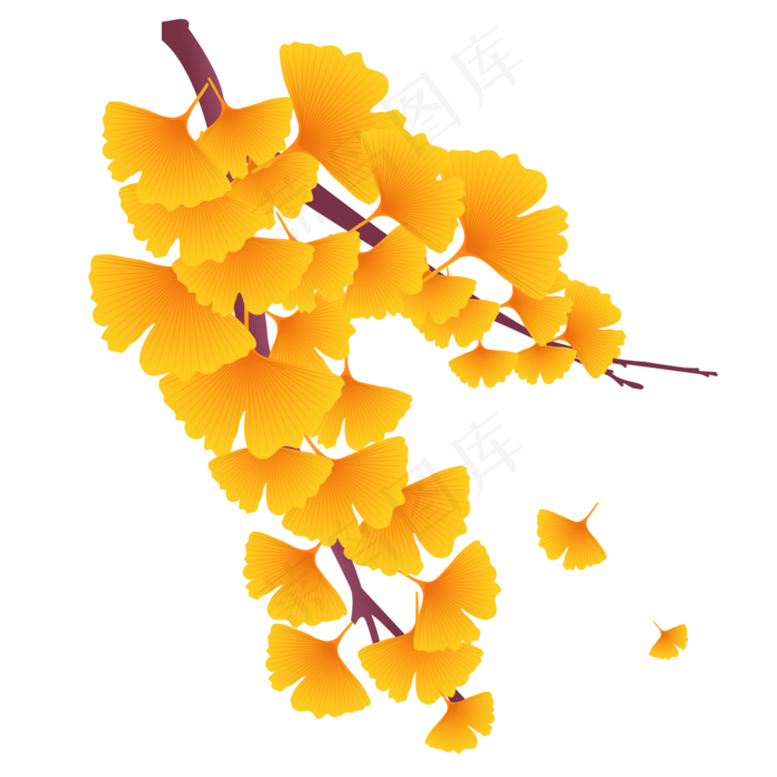 银杏树枝树叶(2000*2000px 300 dpi )ai矢量模版下载