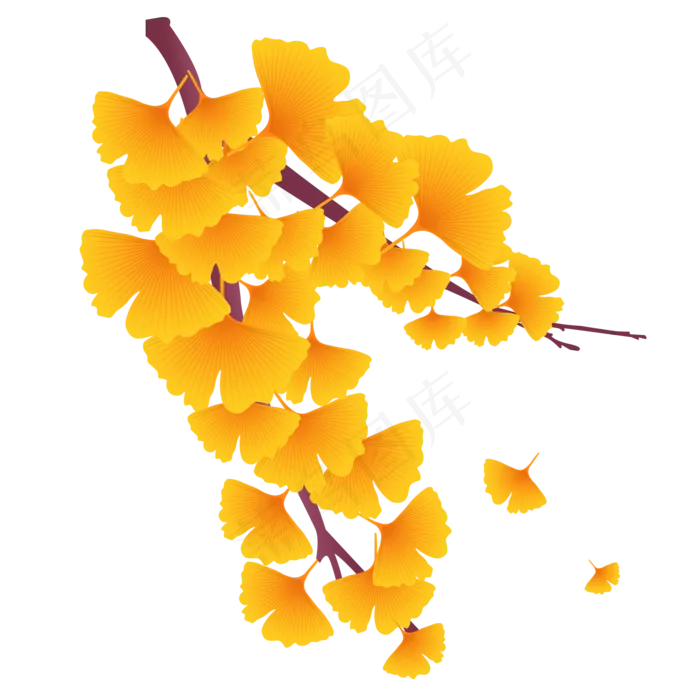 银杏树枝树叶(2000*2000px 300 dpi )ai矢量模版下载