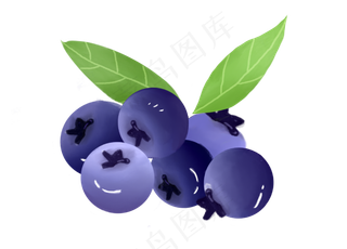 新鲜水果蓝莓