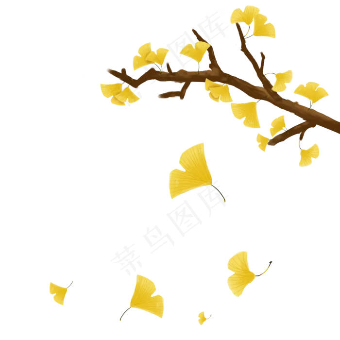 立秋植物节气银杏叶,免抠元素(2000X2000(DPI:300))psd模版下载