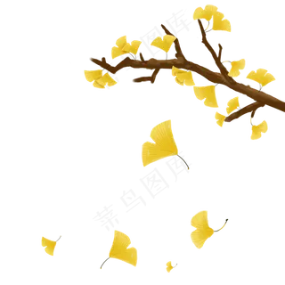 立秋植物节气银杏叶,免抠元素