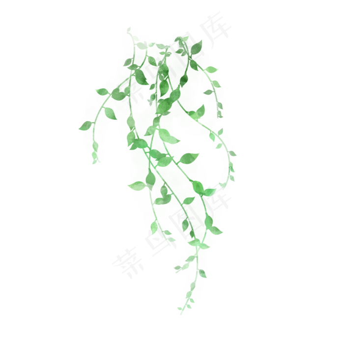 小清新藤蔓树叶免抠(2000X2000(DPI:300))psd模版下载
