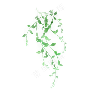 小清新藤蔓树叶免抠
