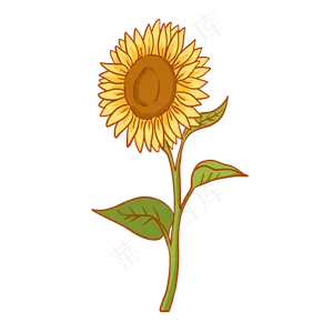 教师节母亲节鲜花花束1,免抠元素