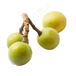 绿色的枇杷水果免抠图