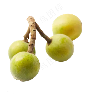 绿色的枇杷水果免抠图