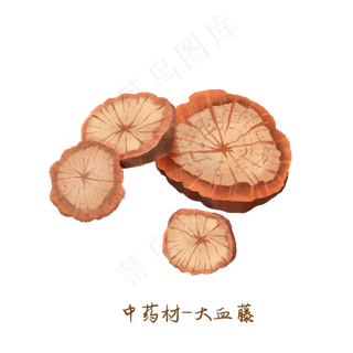 中医药材大血藤,免抠元素