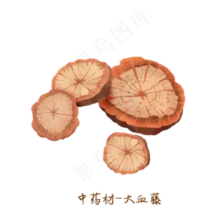 中医药材大血藤,免抠元素