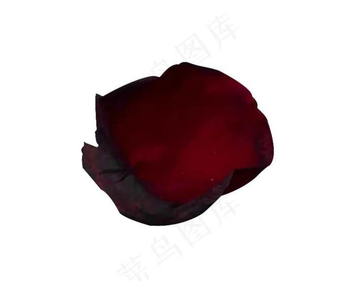 情人节红色玫瑰花瓣(784X620(DPI:240))psd模版下载