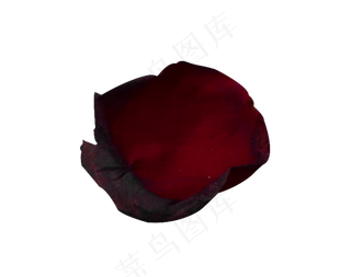 情人节红色玫瑰花瓣