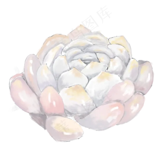 粉紫色的卡通多肉免抠图(2000X2000(DPI:300))psd模版下载